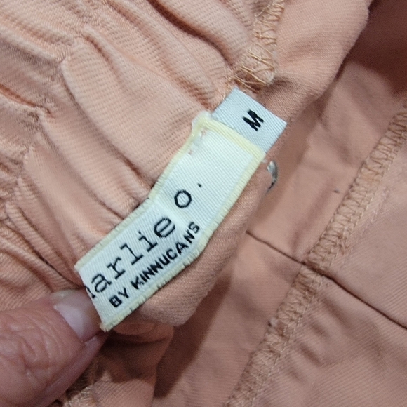 Charlie O. By Kinnucans Dusty Pink Skirt Size Medium - Picture 12 of 16